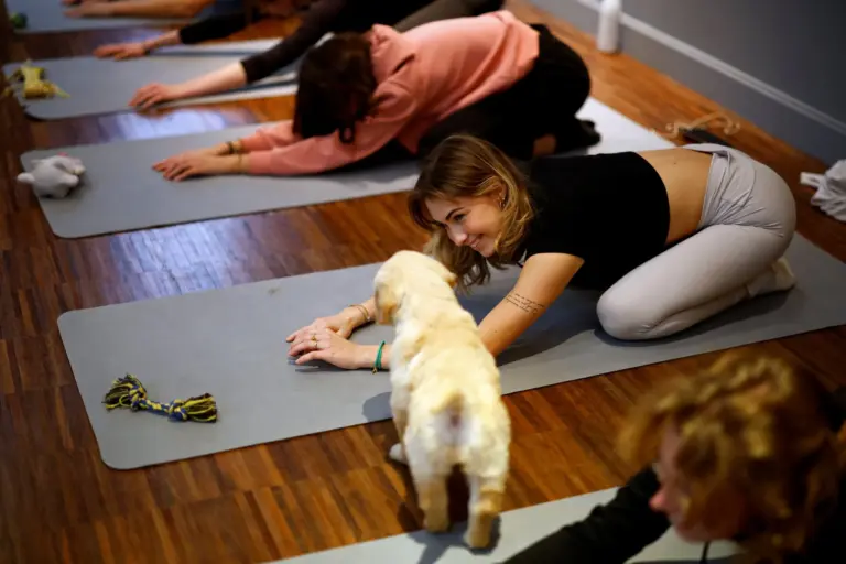Puppy Yoga UK: The Ultimate Wellness Experience with Puppies