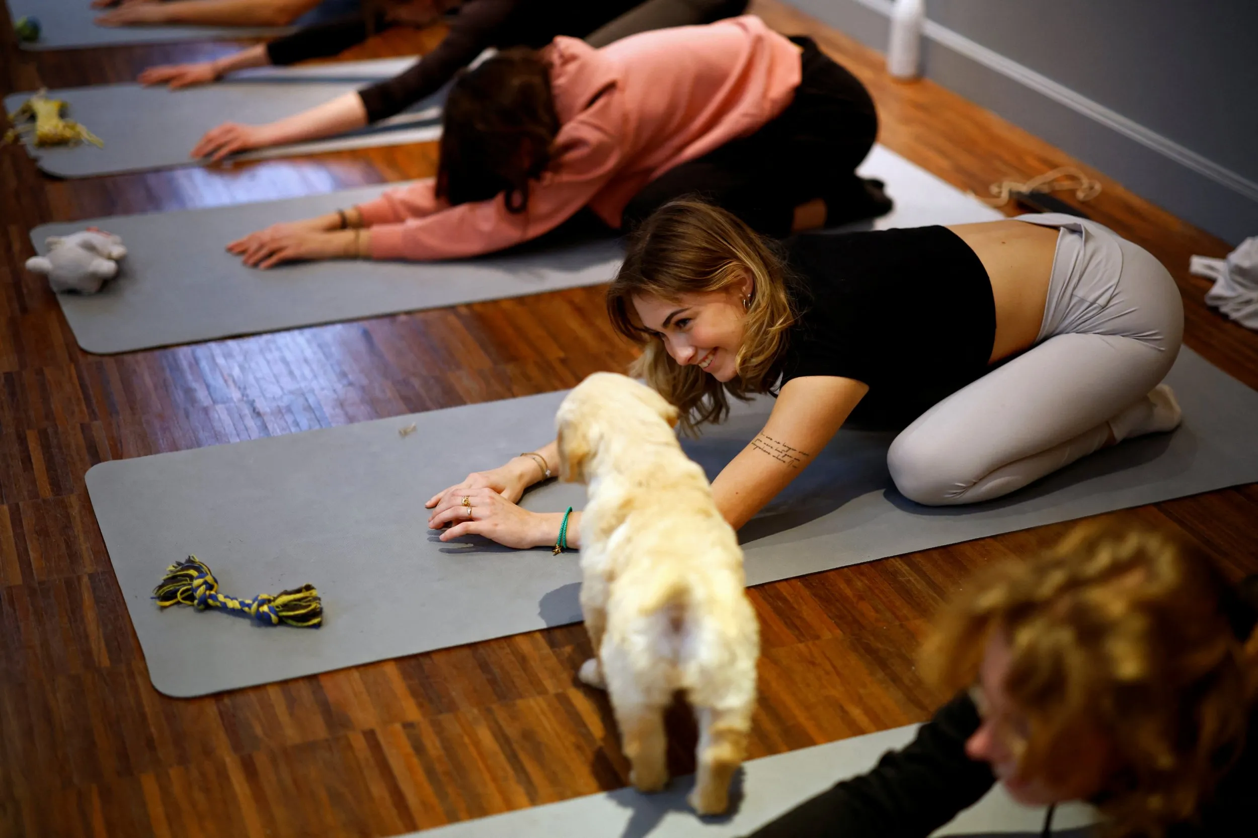 Puppy Yoga UK